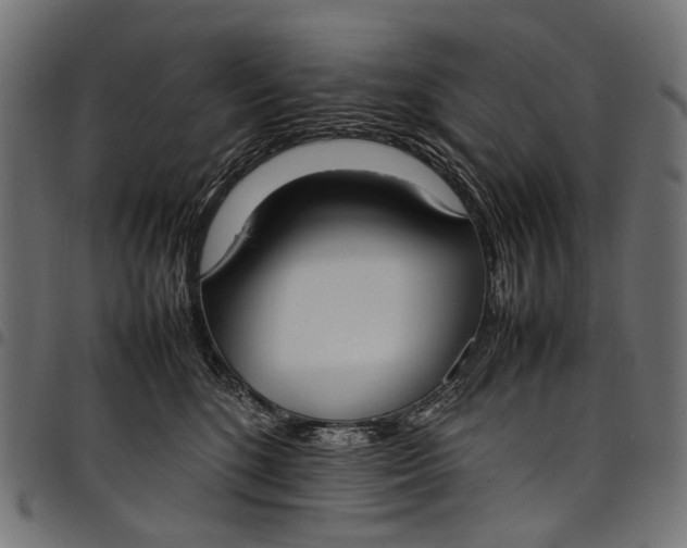 X0000097820520200803281124