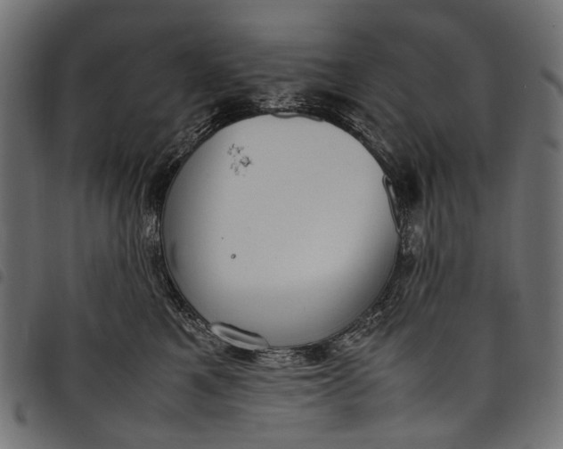 X0000097820521200803281124