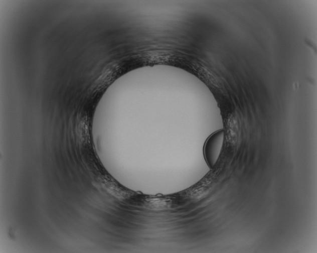 X0000097820522200803281124