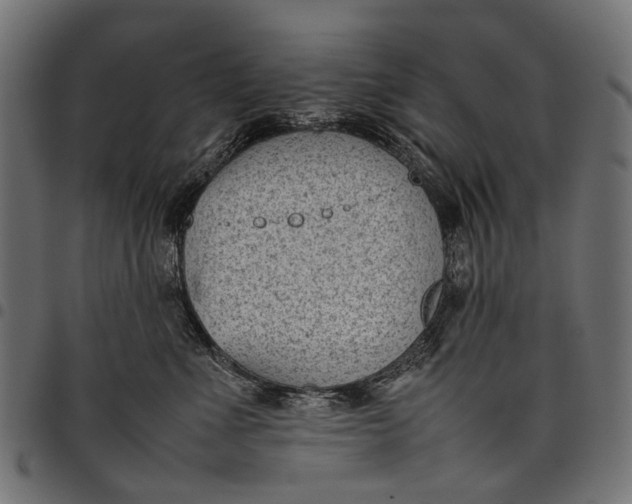 X0000097820523200803281124