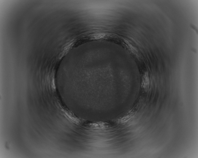 X0000097820524200803281124