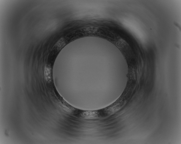 X0000097820526200803281124