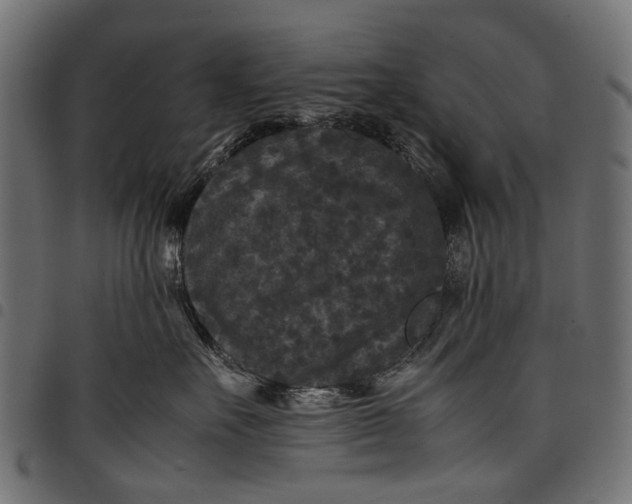 X0000097820527200803281124