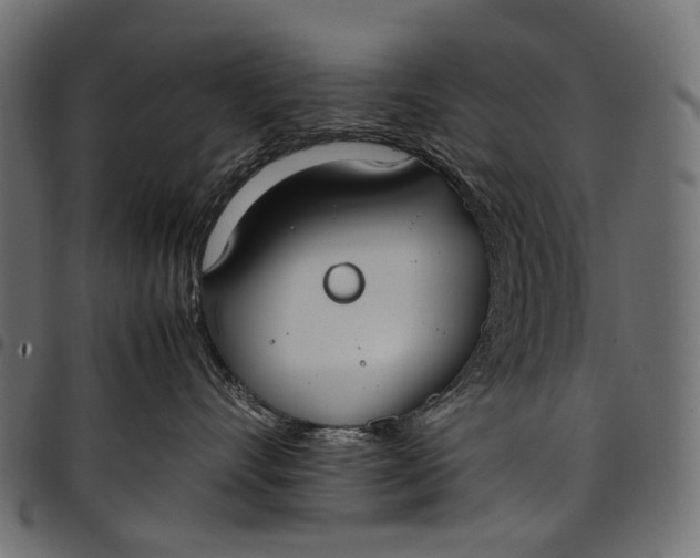 X0000097820528200803281124