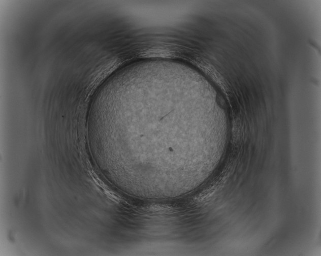 X0000097820529200803281123