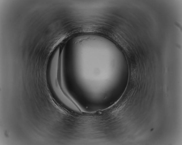 X0000097820530200803281123