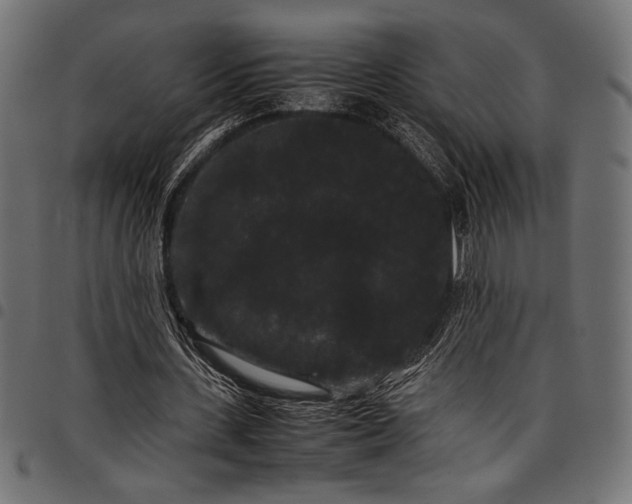 X0000097820531200803281123