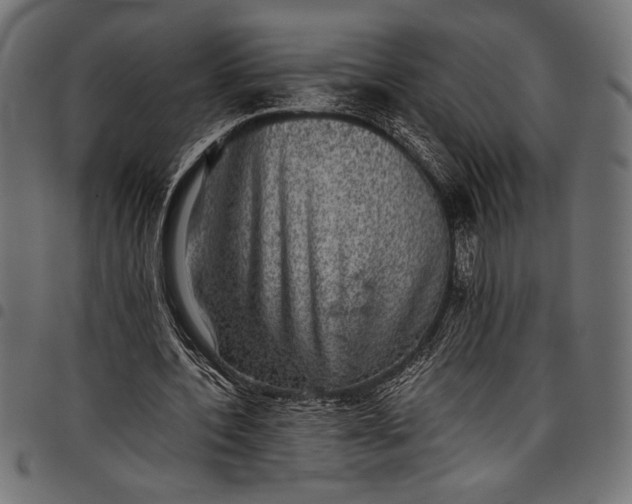 X0000097820532200803281123