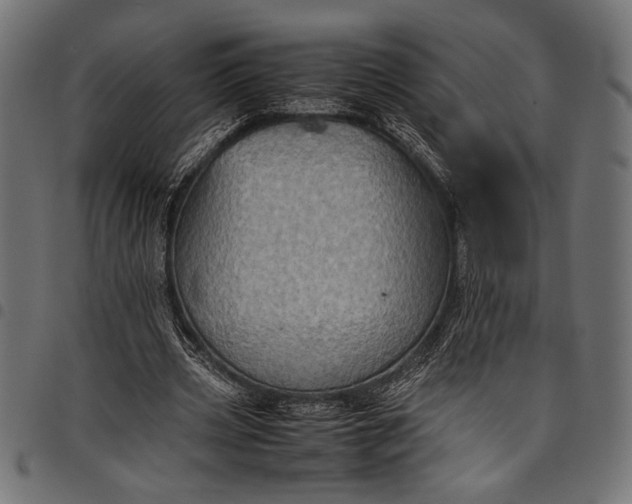 X0000097820533200803281123