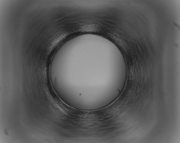 X0000097820535200803281123