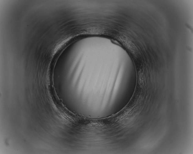 X0000097820536200803281123