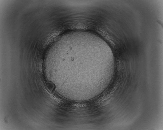 X0000097820537200803281123