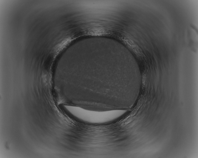 X0000097820540200803281123