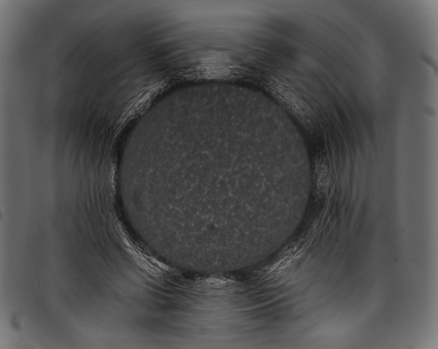 X0000097820542200803281123