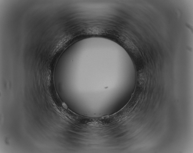 X0000097820544200803281123