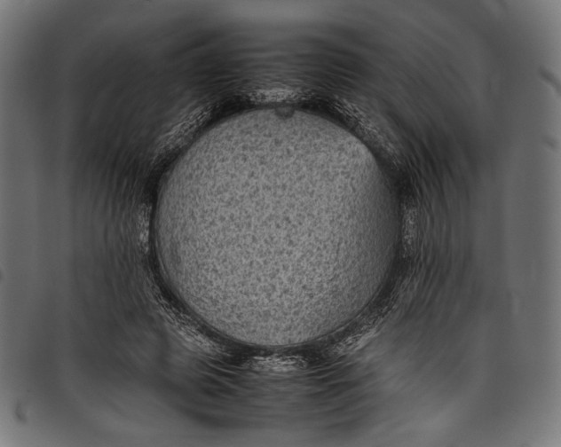 X0000097820545200803281123