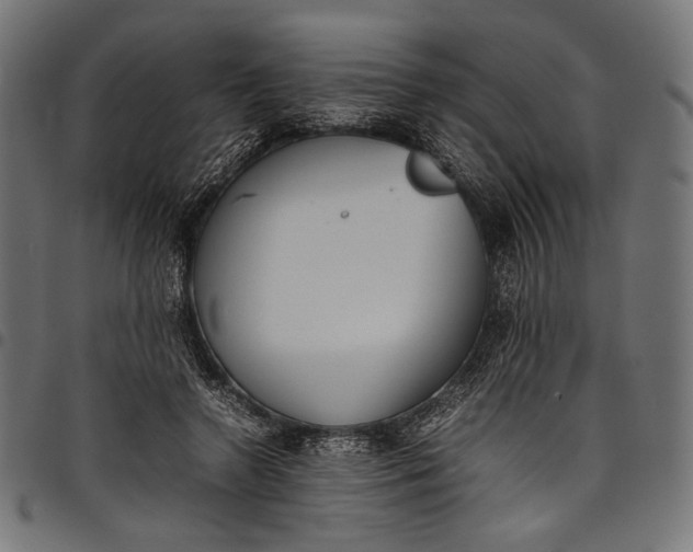 X0000097820546200803281123