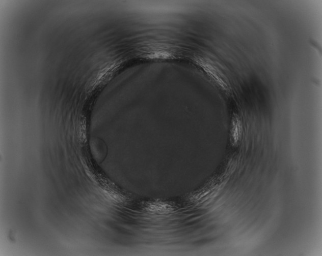 X0000097820547200803281123