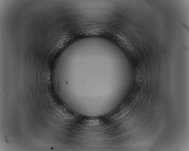 X0000097820548200803281123