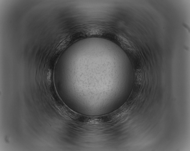 X0000097820550200803281123