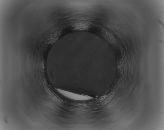 X0000097820551200803281123