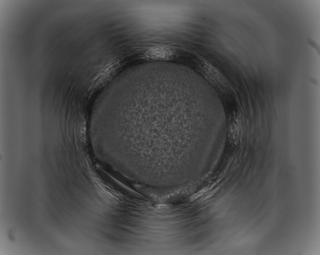 X0000097820552200803281123