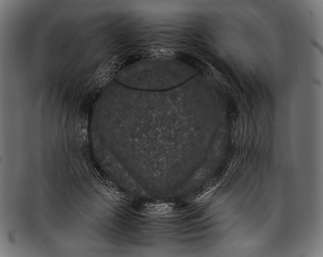 X0000097820553200803281123