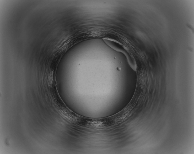 X0000097820554200803281123