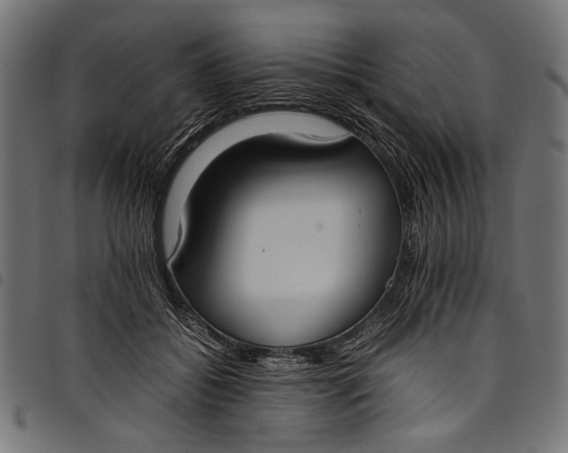 X0000097820556200803281123