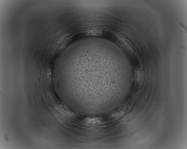 X0000097820557200803281123