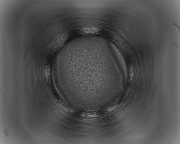 X0000097820559200803281123