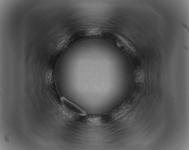 X0000097820560200803281123