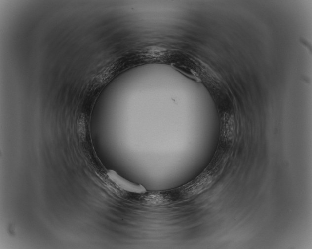 X0000097820562200803281123