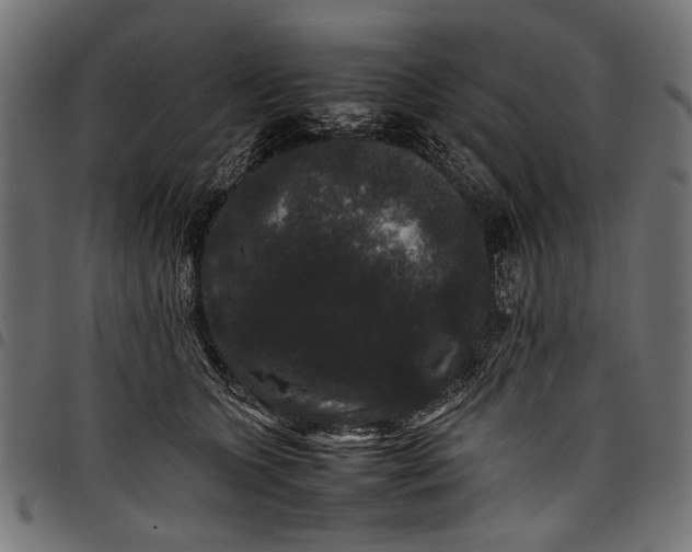 X0000097820563200803281123