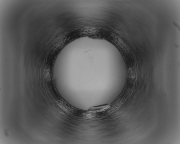 X0000097820564200803281123