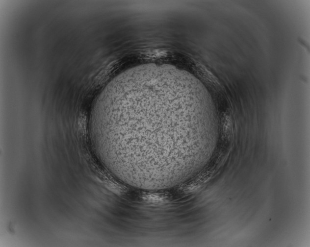 X0000097820565200803281124