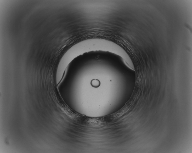 X0000097820568200803281124