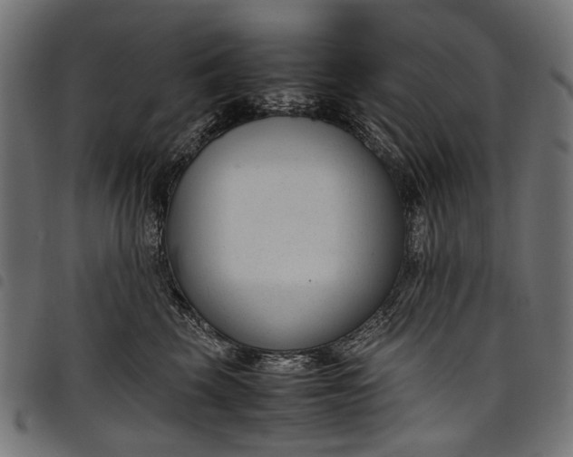 X0000097820569200803281124