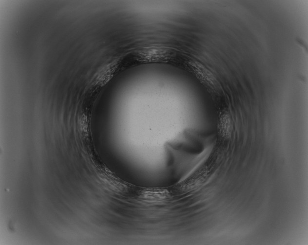 X0000097820571200803281124