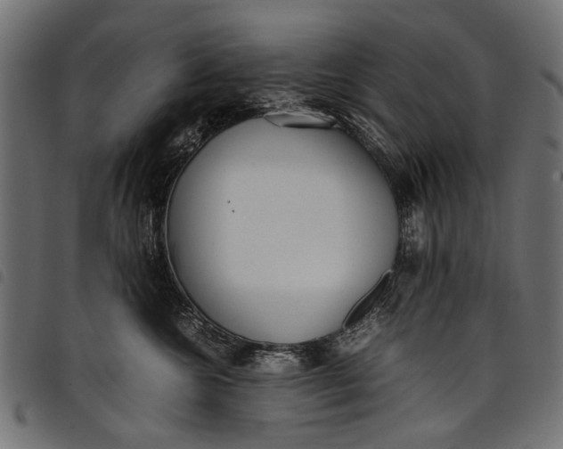 X0000097820572200803281124