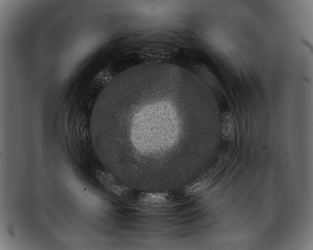 X0000097820573200803281124