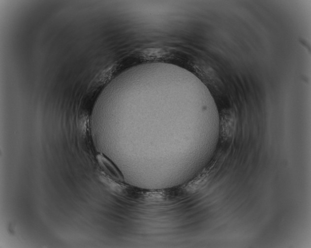 X0000097820574200803281124