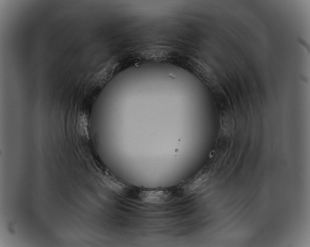 X0000097820575200803281124