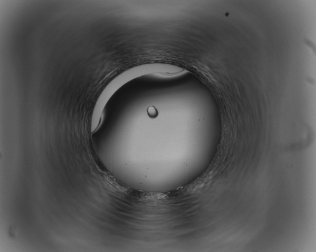 X0000097820576200803281124