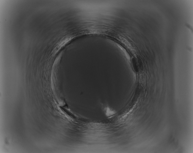 X0000097820577200803281123