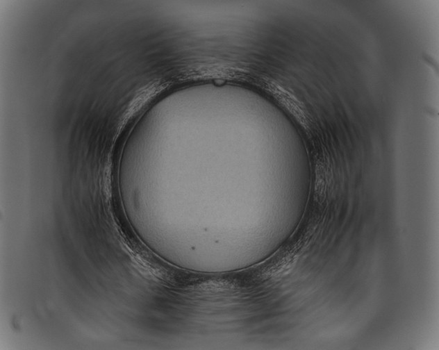 X0000097820578200803281123