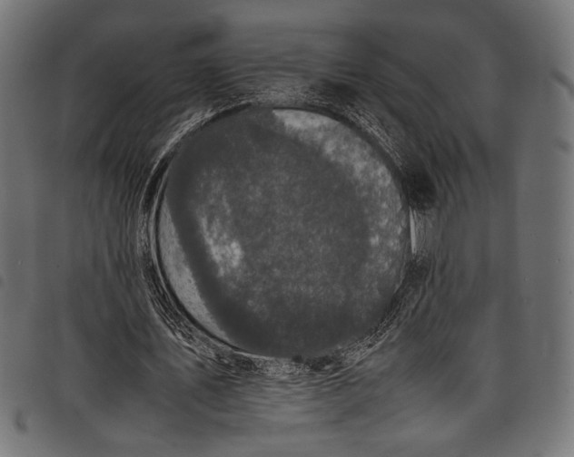 X0000097820579200803281123