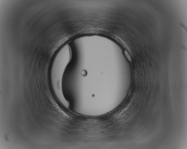 X0000097820581200803281123