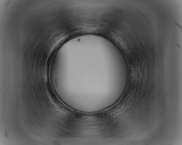 X0000097820582200803281123