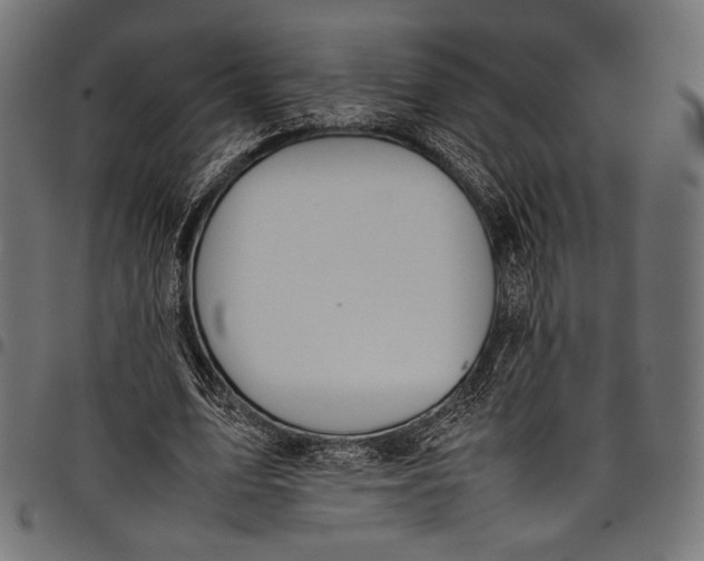 X0000097820583200803281123